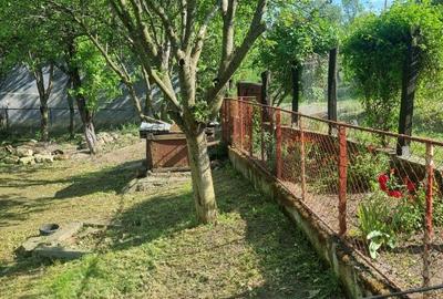 Casă cu 2 camere în Jichișu de Sus - 4