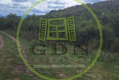 Teren extravilan 700mp in Gusterita. - 3