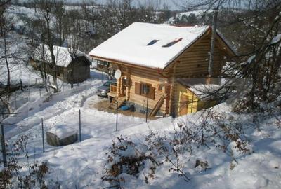 Cabana, 3 camere, 80 mp, localizata la 100 km de Timisoara - 4