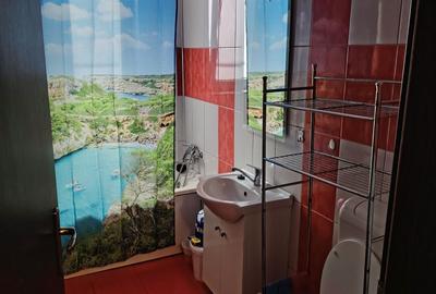 Apartament cu 3 camere decomandat în Calea Turzii - 5