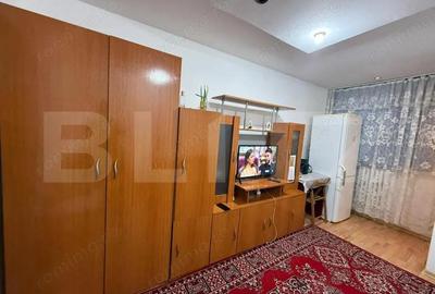 Garsonieră semidecomandată în Nicolina - 4