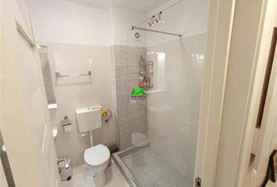Apartament de inchiriat 2 camere Sibiu Doamna Stanca - 4