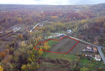 Teren de vanzare in comuna Meri?ani, sat Valcelele, jude? Arge?. - 4