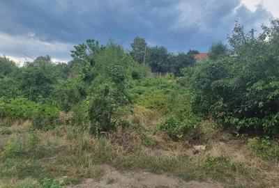 Teren de 1786 mp, în Nenciu - 1