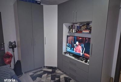 Apartament cu 2 camere în Valea Rosie - 8