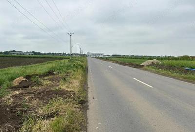 Teren de 53000 mp, în Dascălu - 3