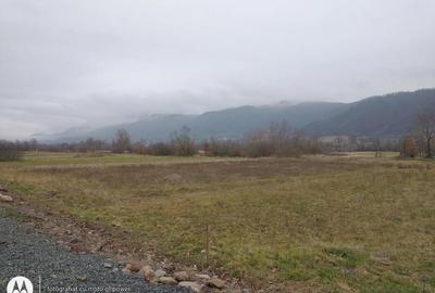 Casă în Copalnic - 5