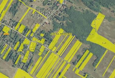 Teren de 4582 mp, în Jiana - 3
