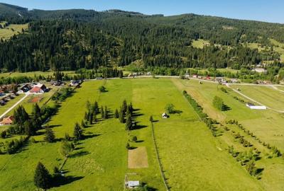 Teren agricol intravilan de 22000 mp, în Plaiu Șarului - 17