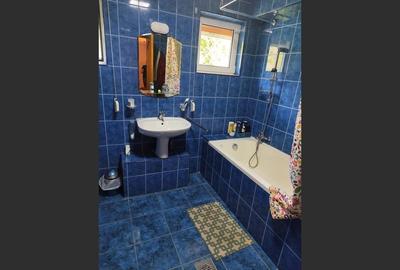 Vila spațioasă 5 dormitoare, Provita de Jos - 12