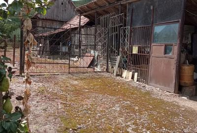 Casă cu 2 camere în Izvoarele (Livezile) - 3