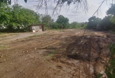 Vlad Tepes sat, jud.Giurgiu - 4