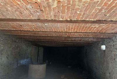 Castel cu vedere panoramica pe dealul ?iriei - 7