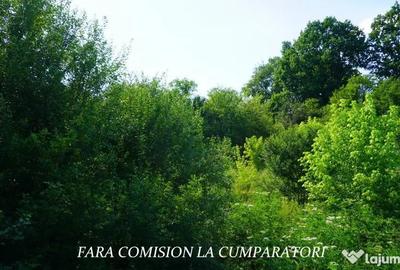 Casă cu 4 camere cu Teren 1730 Mp în Mihăești - 14