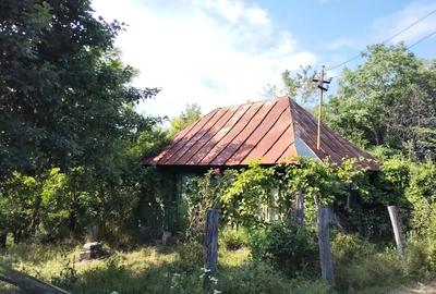 Vand casa batraneasca - 1