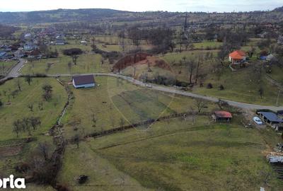 Teren de 2007 mp, în Șișești - 2