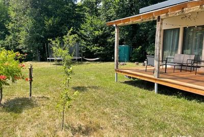 Casă în Mărăcineni - 3