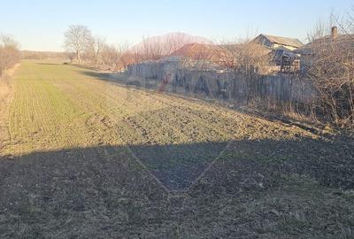 Teren de 6972 mp, în Găiceana - 3