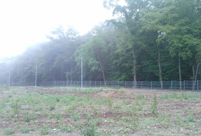 Spațiu comercial, de 11,600 mp, în Central - 1