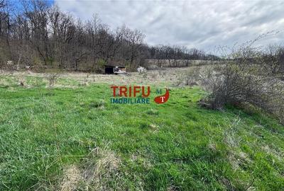 Teren de vanzare pentru cabana langa padure - 3