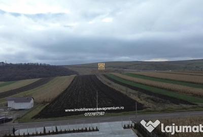 Teren de 14066 mp, în Mihoveni - 3
