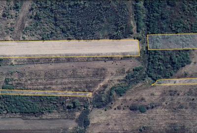 Teren de 28300 mp, în Gavojdia - 2