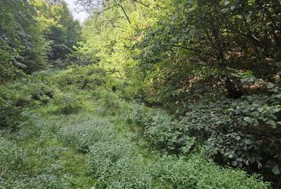 Spațiu comercial, în Central - 2