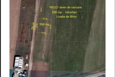 Teren Construcții intravilan de 558 mp, în Livada de Bihor