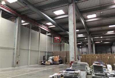 Depozit/hala/spatiu industrial Mogosoaia - Centura, Ilfov - 3