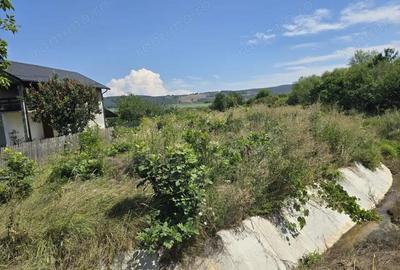 Teren intravilan, stradal, industrial, Dobrogostea - 1388 mp - 3