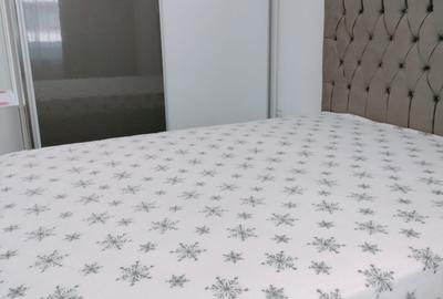 Garsonieră decomandată, mobilată în Chiajna - 3
