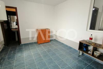 Spatiu comercial pe 2 niveluri cu vad 440 utili zona Terezian Sibiu - 9