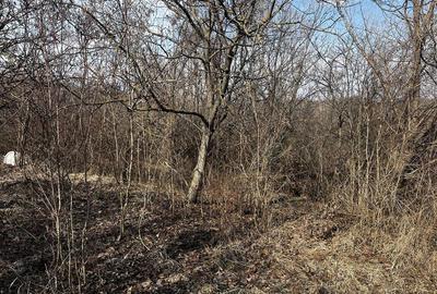 Teren Construcții intravilan de 1746 mp, în Seciu - 6