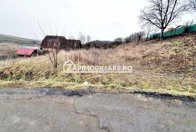 Teren 1.175 mp. 36 m. deschidere, zona Unirii  Targu Mures - 8