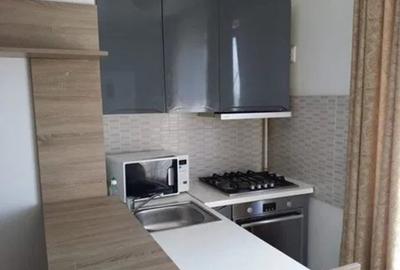 Apartament 2 camere open space Tatarasi-Piata Chirila - 2