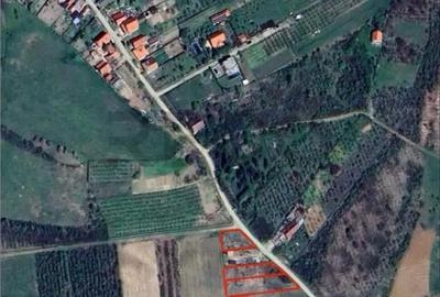 Teren de 552 mp, în Săldăbagiu de Munte - 2