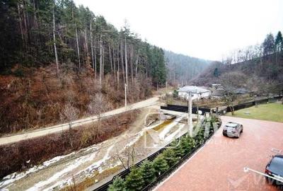 Casă de vacanță mobilată,utilată în Piatra Neamț, Ștrandul Tineretului - 12