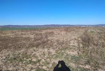 RECO Teren intravilan, Alparea - 2