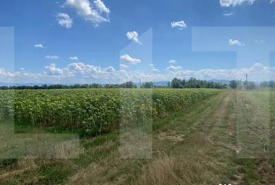 Teren de 45800 mp, în Moacșa - 1