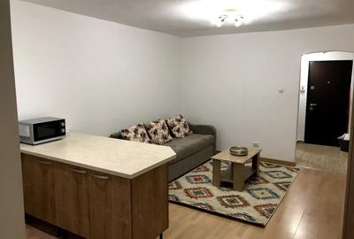 Garsonieră semidecomandată, mobilată în Grigorescu - 2