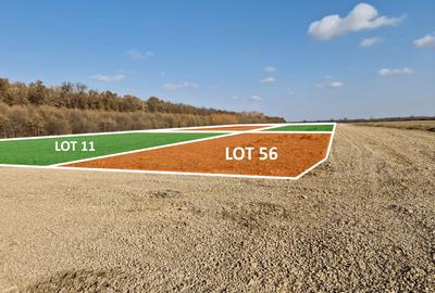 Loturi de casă 720 - 900 mp, langă Pădure în eForest, acces asfaltat - 9