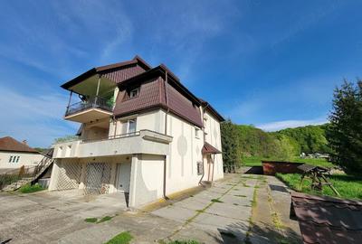 Casă cu Teren 1634 Mp în Gurișoara - 9