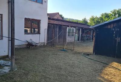 Vand casa Vand casa - 4