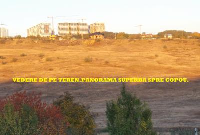 Păcurari-Platou Beldiman ( LA STEJARI SECULARI ) 490 mp , oportunitate reala - 28