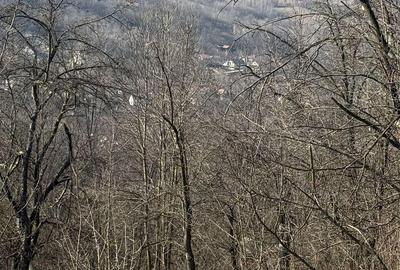 Spațiu comercial, în Central - 20