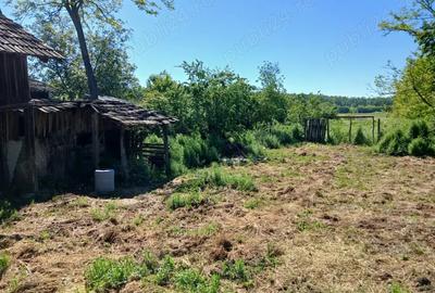 Casa batraneasca -Tufani Prahova Casa batraneasca -Tufani Prahova - 6
