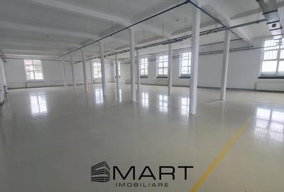Spatii de inchiriat – Depozitare | Productie | Birouri Cisnadie - 1