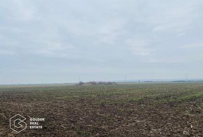 Teren, Intrare Recas, Drumul E70 - 1