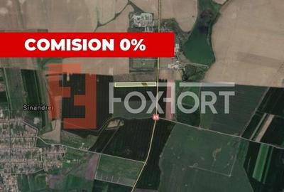 Teren Agricol | Opurtunitate investitie | Sananadrei - ID V713 - 1
