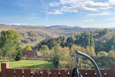 Cabana cu 4 dormitoare, foisor, ciubar, Statiunea Muntele Baisorii - 1